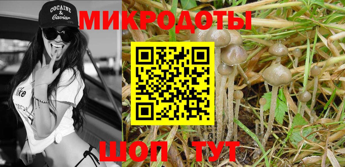 Галлюциногенные грибы Magic Shrooms Якутск