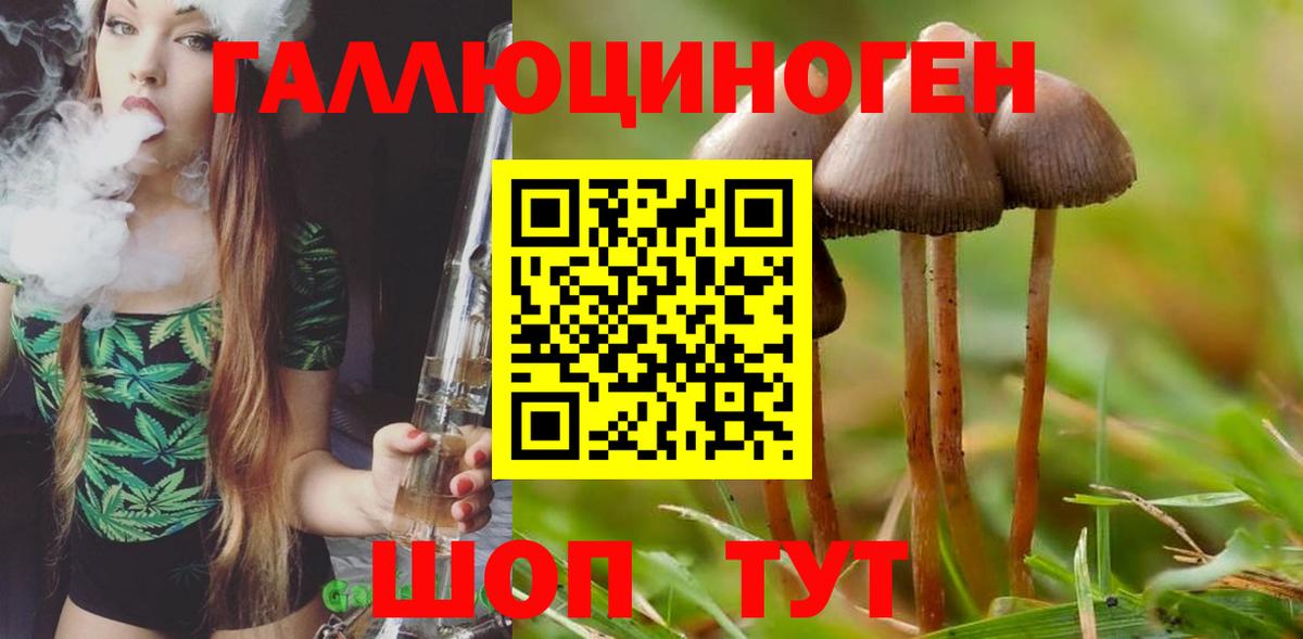 Галлюциногенные грибы Psilocybine cubensis  Галлюциногенные грибы мицелий  Якутск  даркнет сайт  Вход с VPN 